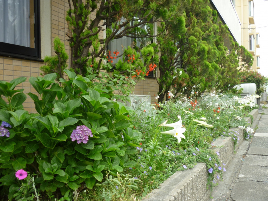 ミモザ平塚高浜台介護付きホームの写真6枚目：ご利用者に、そっと寄り添い・支えあう。ありのままを受け入れ支援して行きます。
