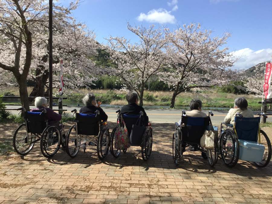 介護老人保健施設おおひら(理学療法士の求人)の写真4枚目:外出リハビリ(お花見)