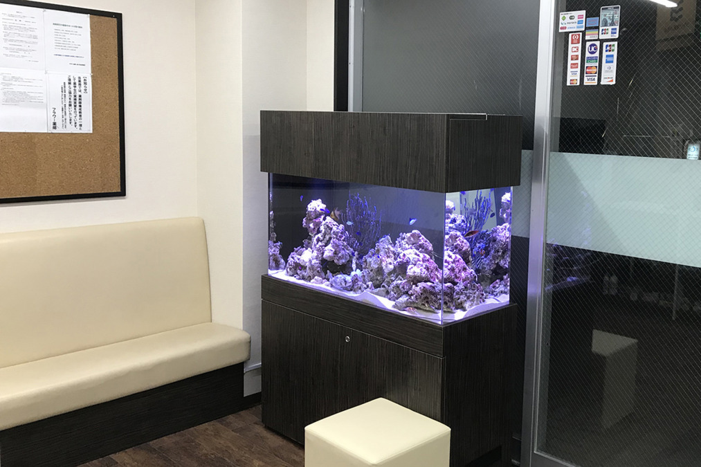フラワー薬局 富士見台駅前店の写真2枚目：熱帯魚水槽が大人気です