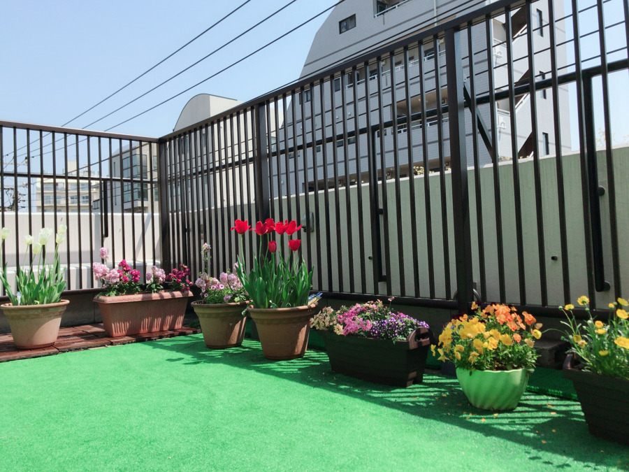 代沢みこころ保育園分園 小さな森の保育園【2025年04月01日オープン】の写真3枚目: