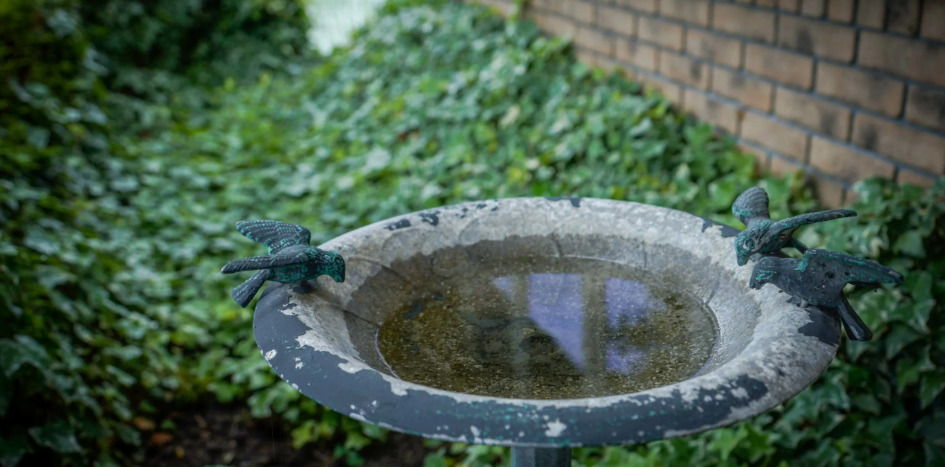 打田内科クリニックの写真2枚目:糖尿病・脳・神経専門のクリニックです