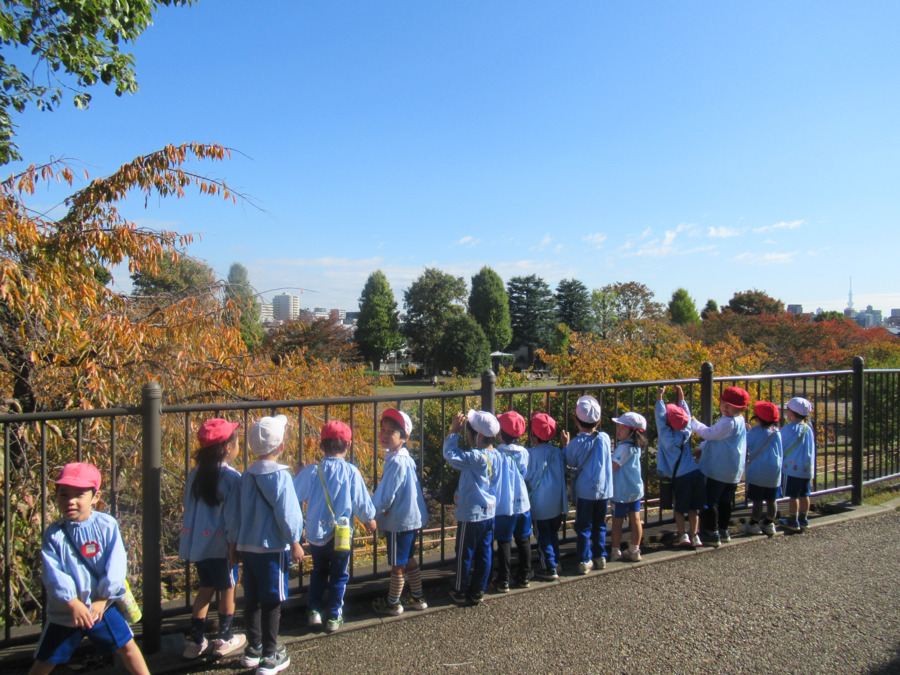 樫の木幼稚園（保育補助の求人）の写真2枚目：