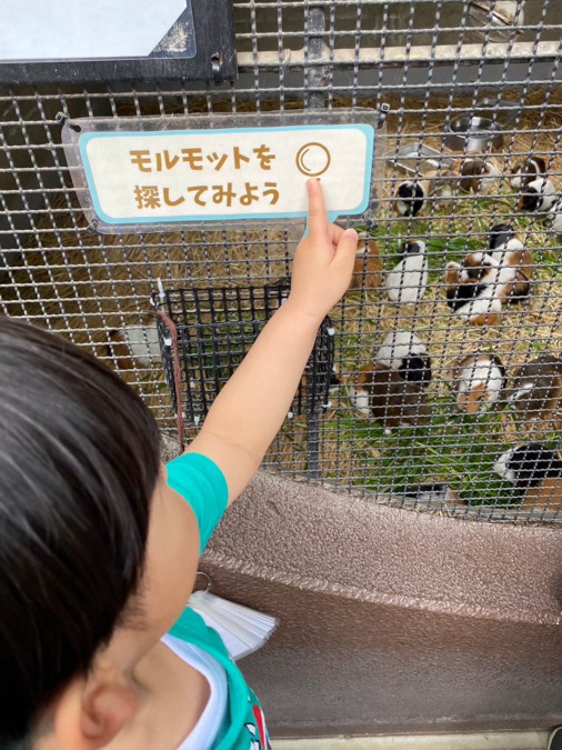 入園・入学準備教室クラス　市川教室【2025年04月01日オープン】（児童指導員/指導員の求人）の写真4枚目：