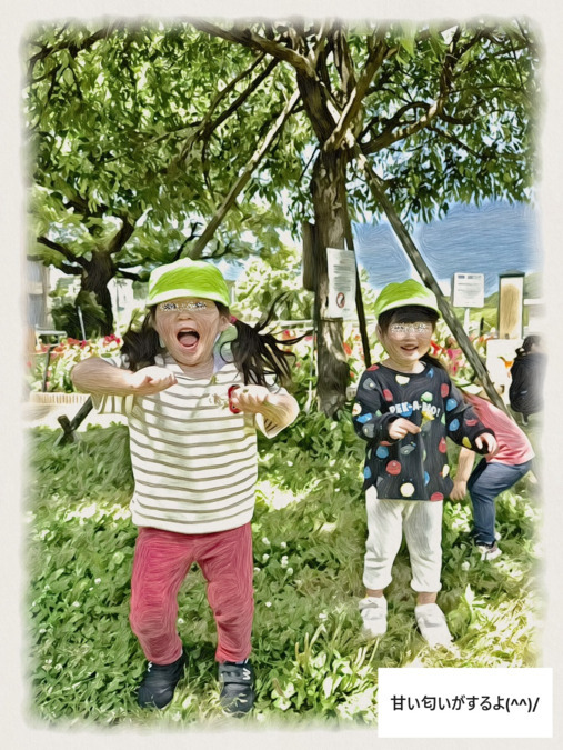 認定こども園 とんぼ保育園(管理栄養士/栄養士の求人)の写真2枚目: