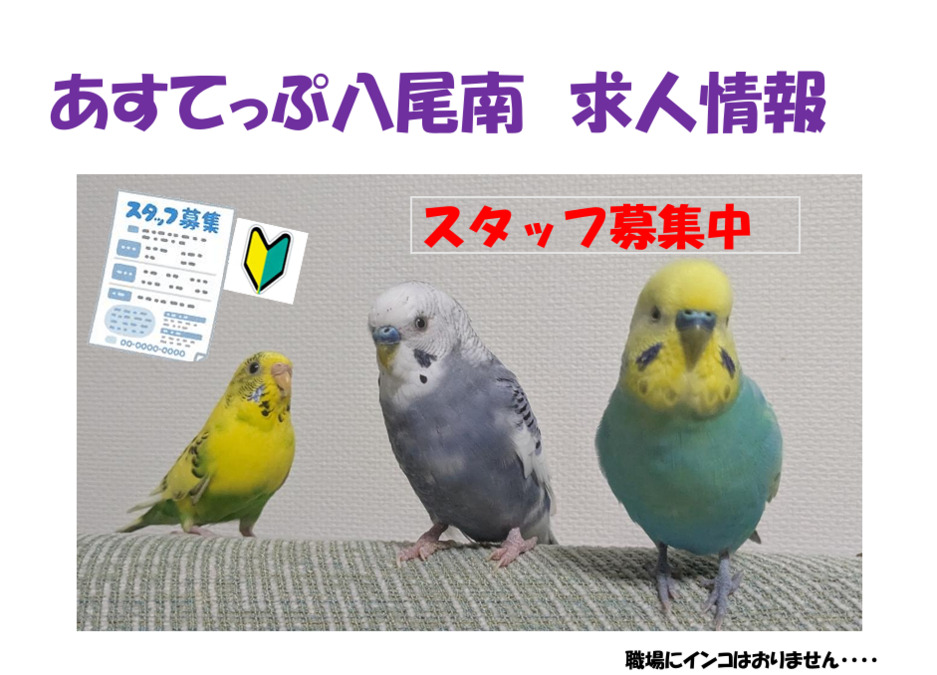 あすてっぷ八尾南の写真