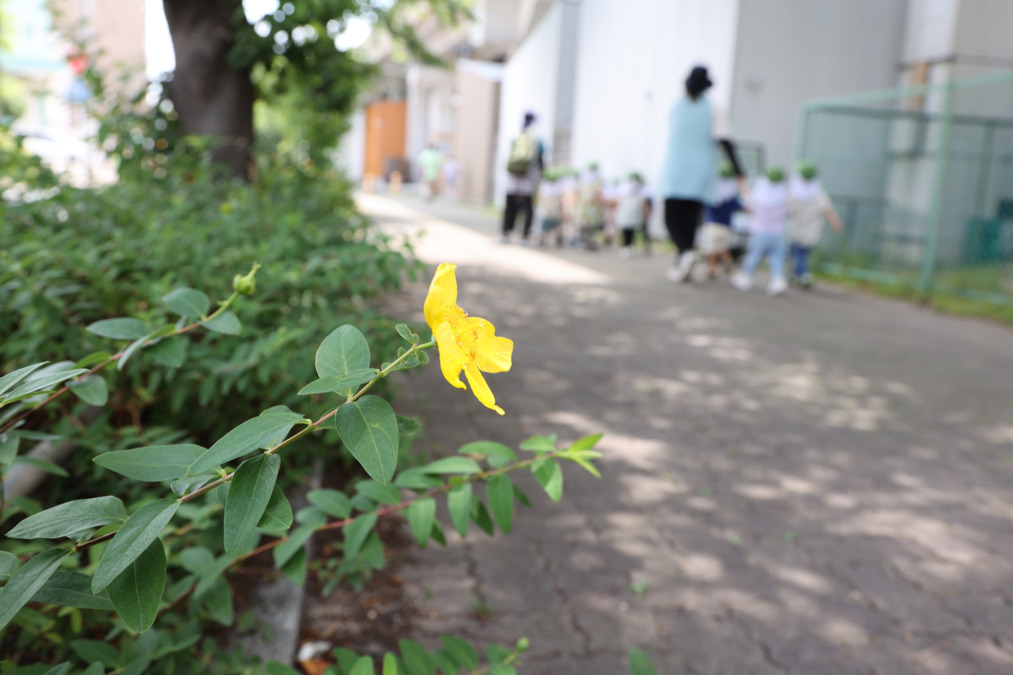 大杉保育園（保育補助の求人）の写真3枚目：