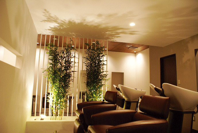 Jade recitの写真2枚目: