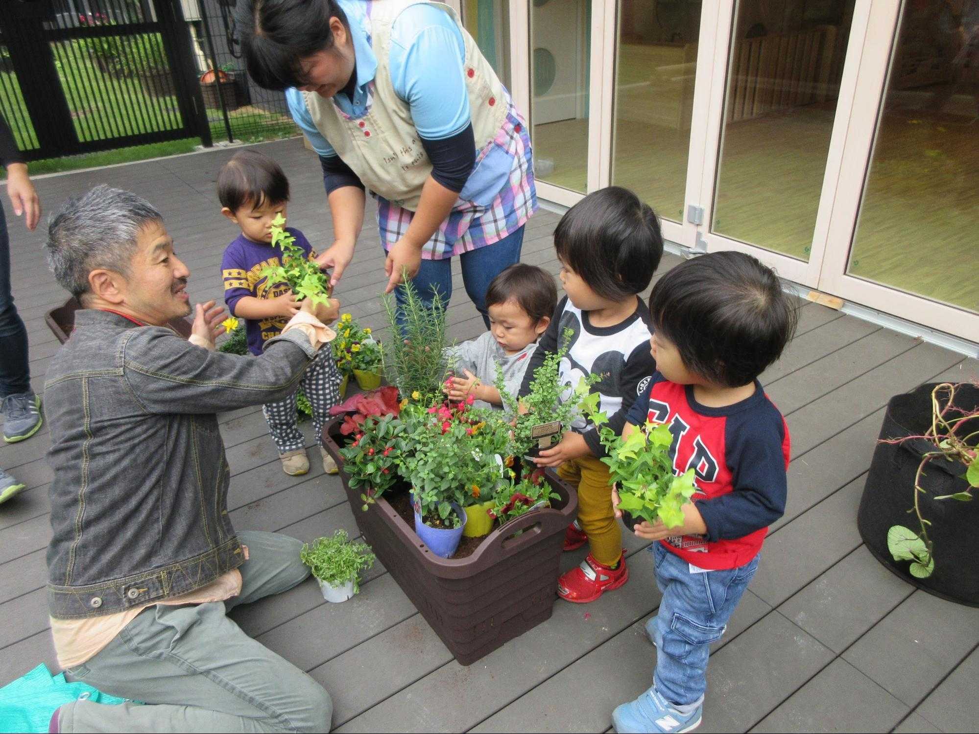 ひばりの保育 仙川のいえ園芸レク