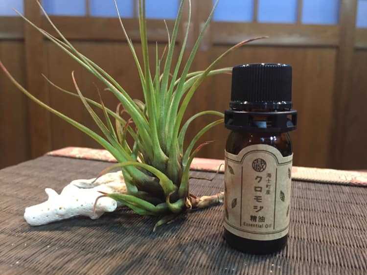 海士町産のクロモジ精油