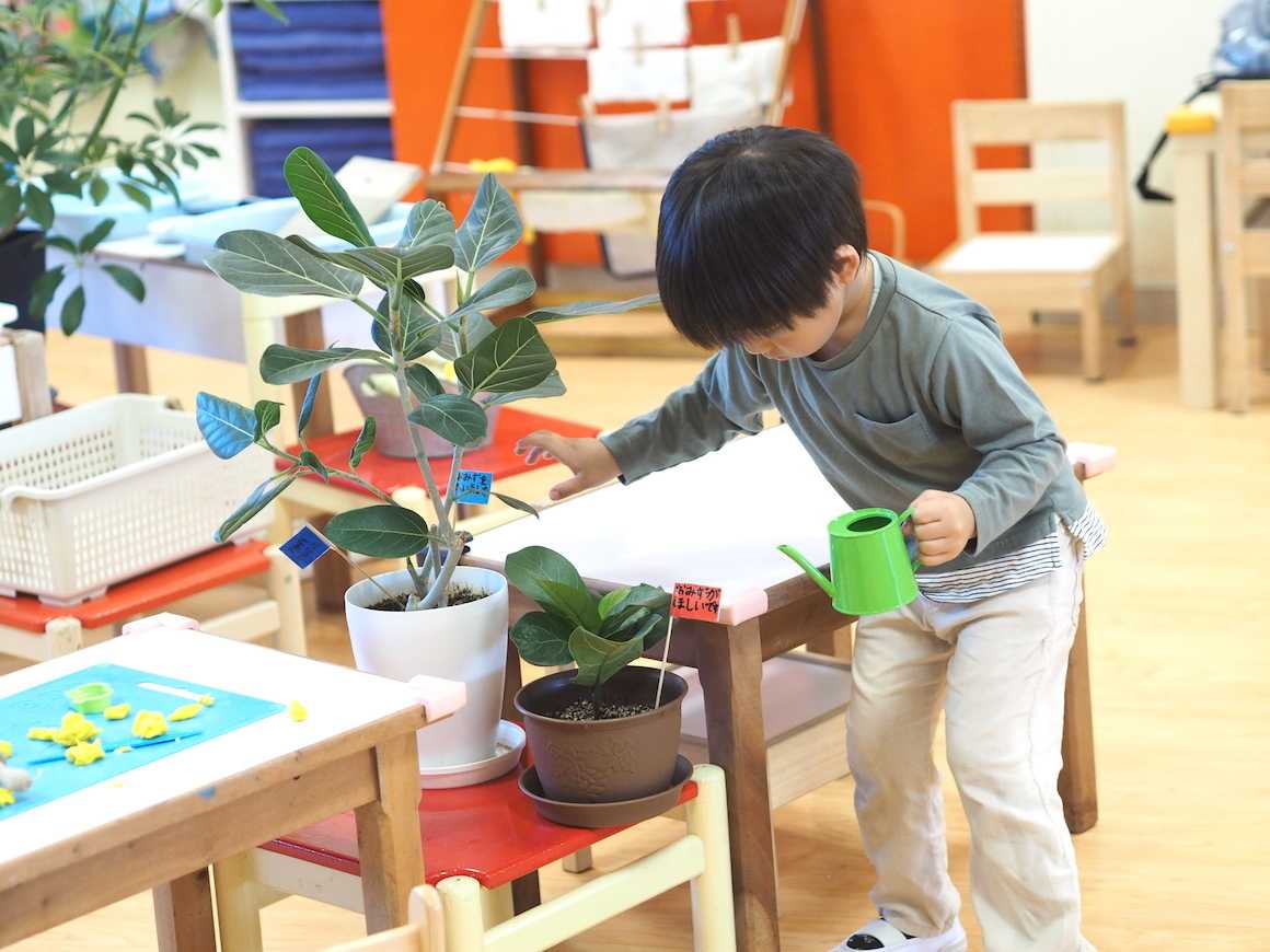 ピースボート子どもの家 植物の水やり