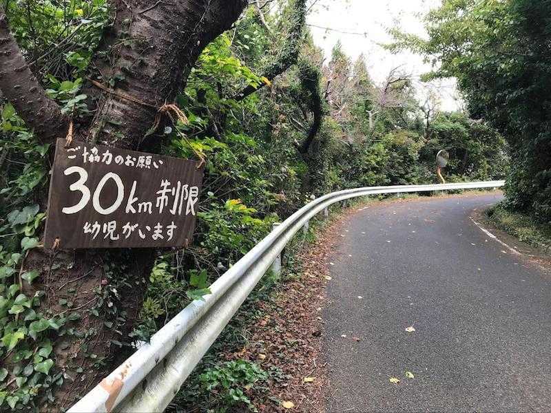 お山の教室の風景2