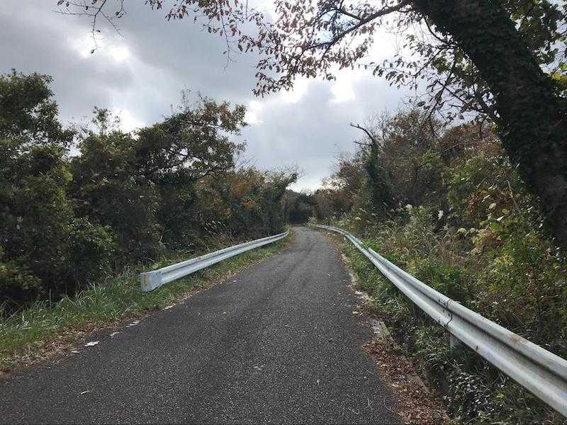 お山の教室の風景1