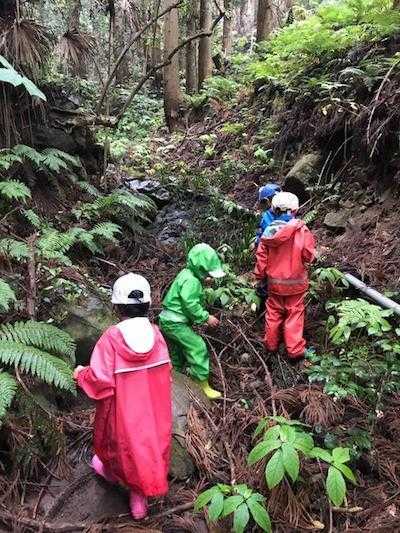 お山の教室野外活動2