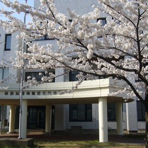 歯科衛生士を目指す方へ★秋田県歯科医療専門学校のご紹介