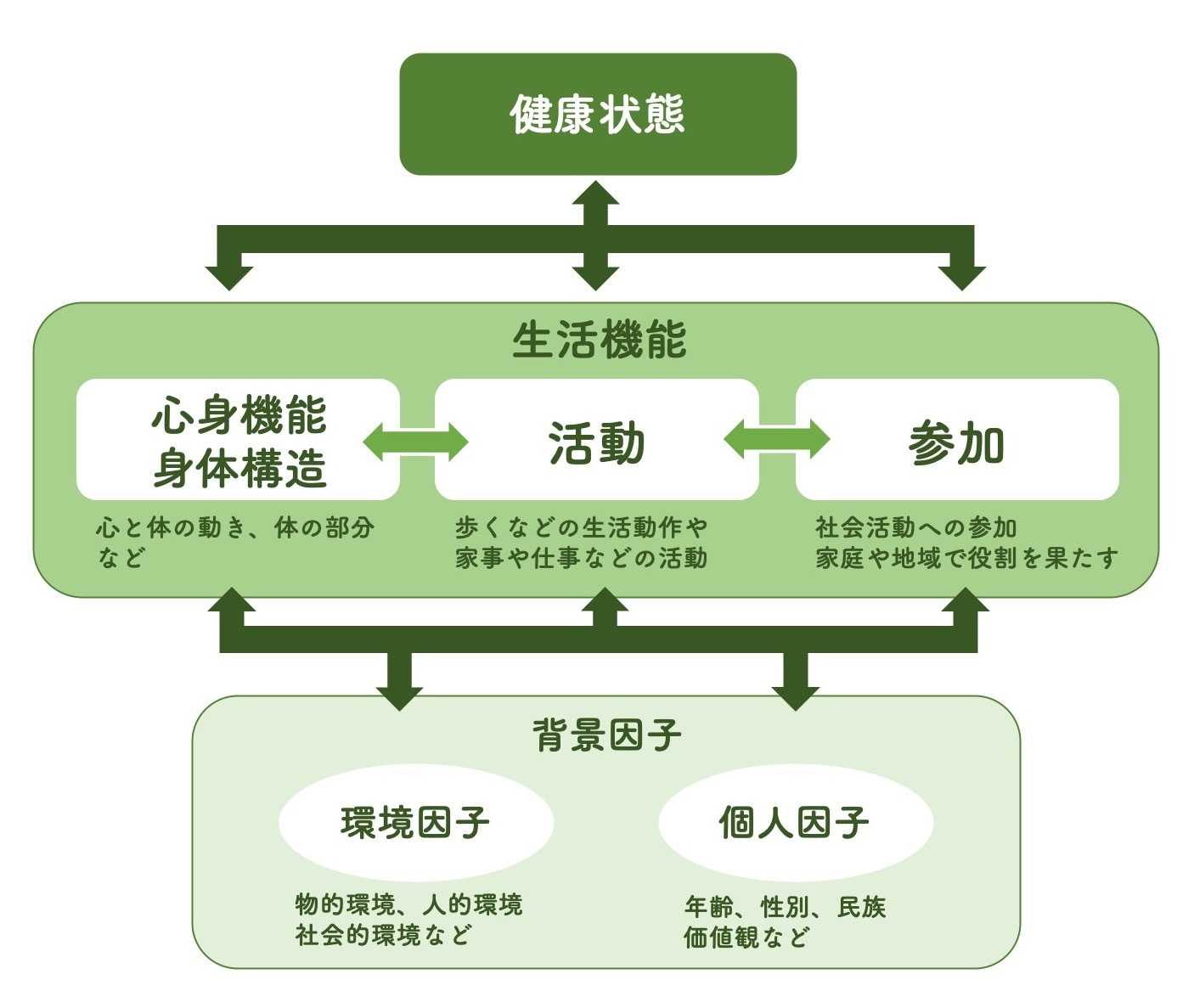 ICF 国際生活機能分類の構成